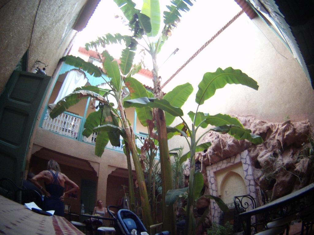 Riad Dar Mchicha Marrakesch Exterior foto