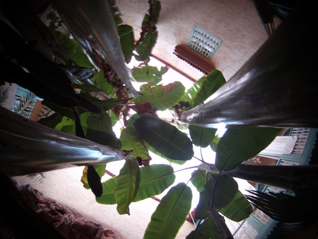 Riad Dar Mchicha Marrakesch Exterior foto
