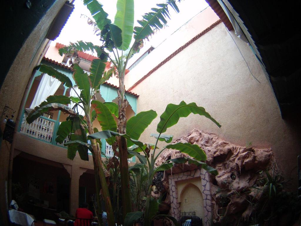 Riad Dar Mchicha Marrakesch Exterior foto