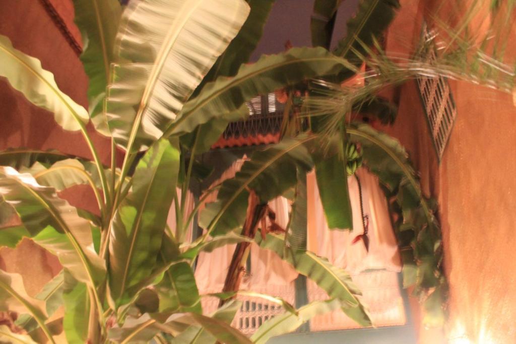 Riad Dar Mchicha Marrakesch Exterior foto